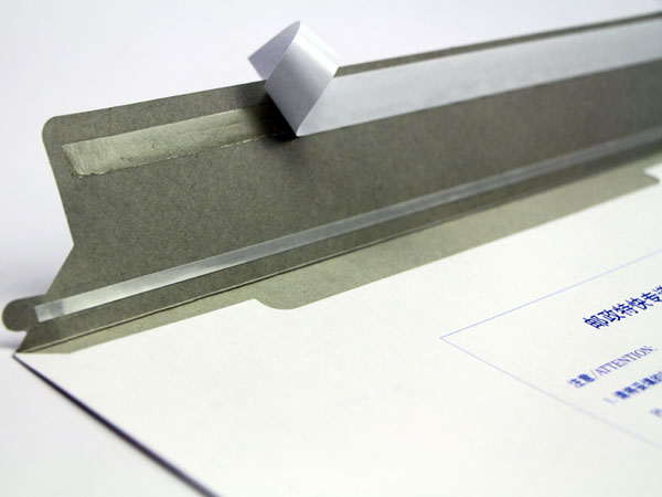 EMS express envelope