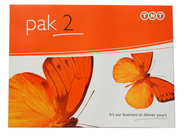 TNT express envelope