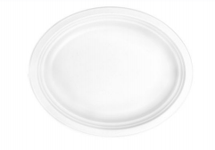 12inch Big Oval Plate