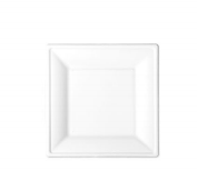 6inch-Square Plate